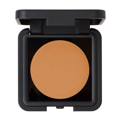 THE FULL CONCEALER (CORRECTOR)