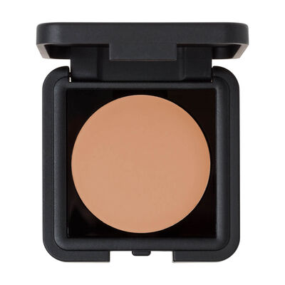 THE FULL CONCEALER (CORRECTOR)