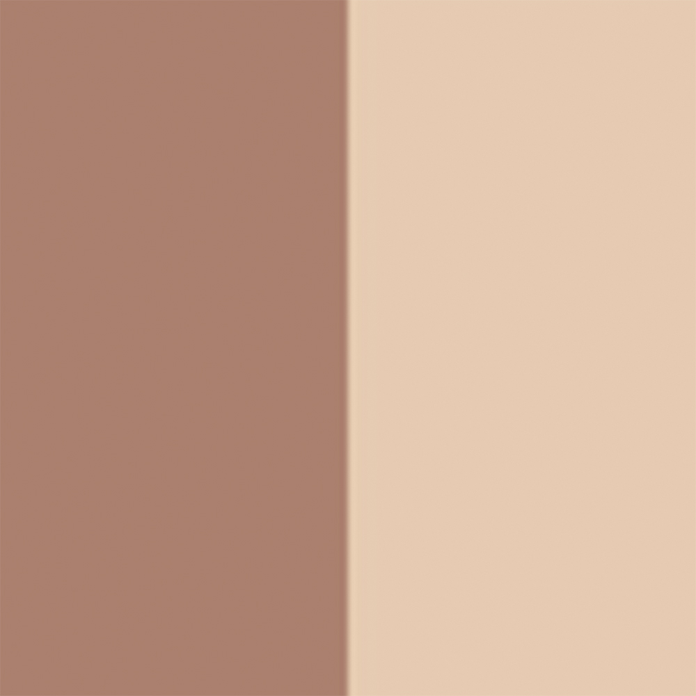 ROUGE BLUSH COLOUR & GLOW PALETA DE ROSTRO MULTIUSO (DÚO DE COLOR E ILUMINADOR)