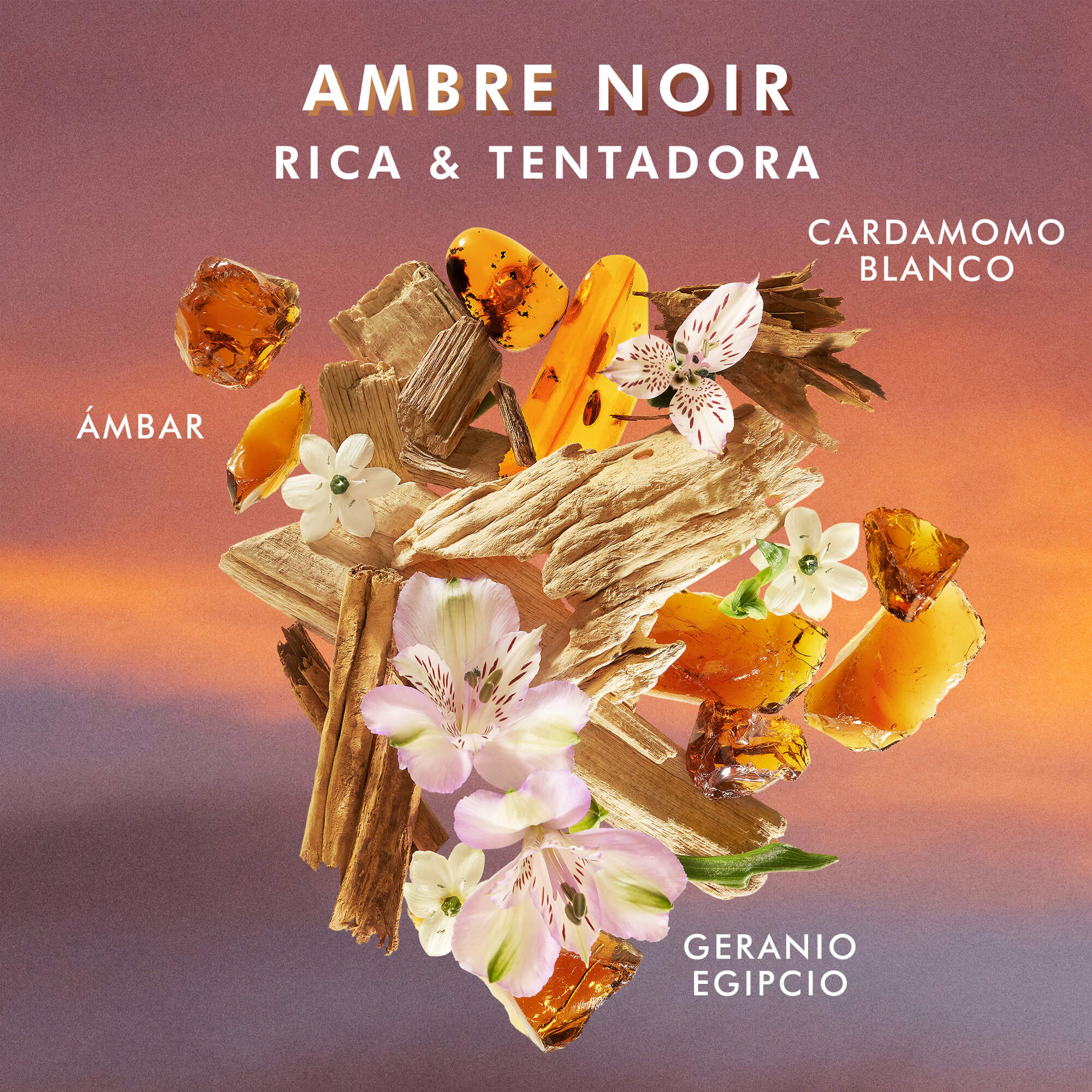 SHOWER GEL (GEL DE BA&Ntilde;O)