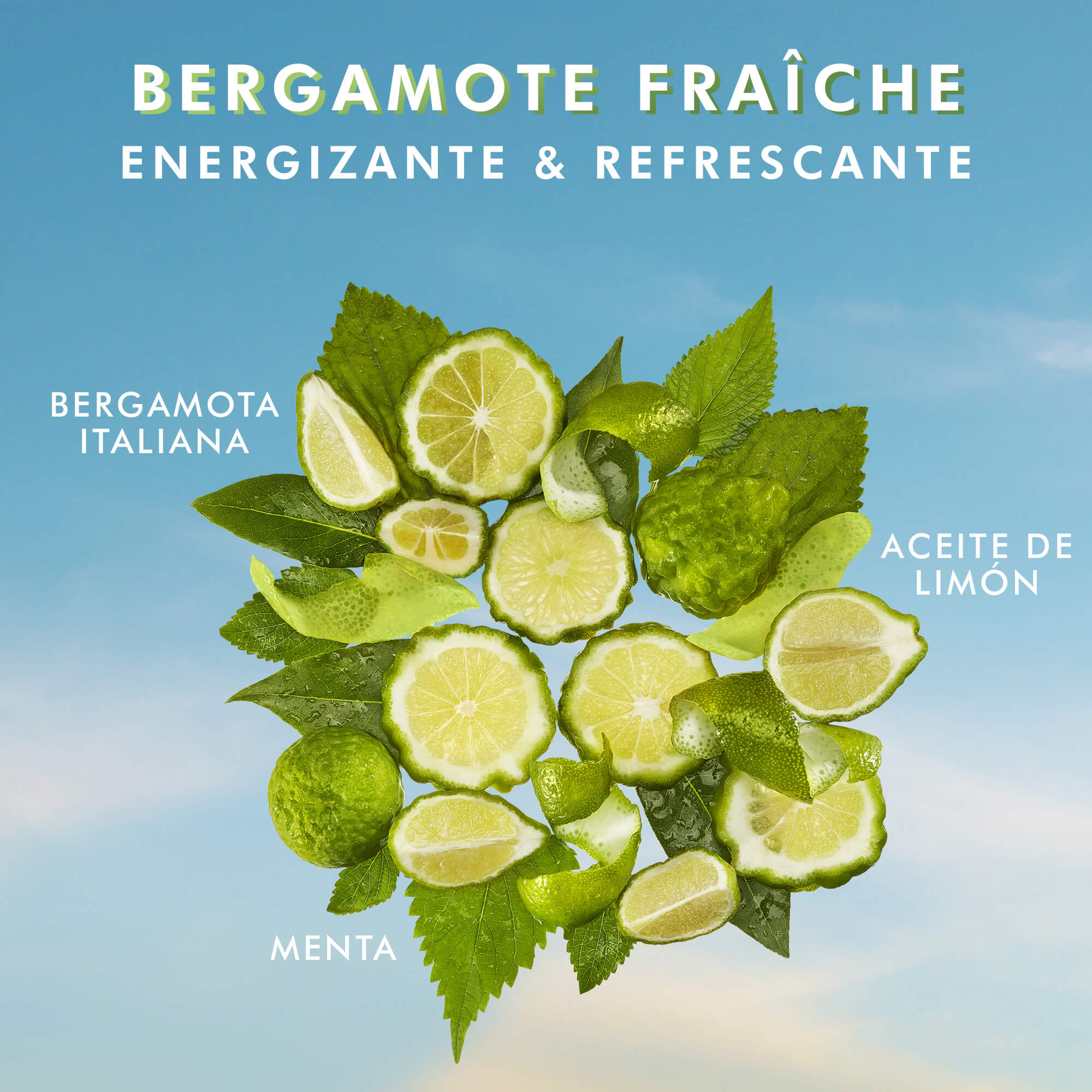 SHOWER GEL (GEL DE BA&Ntilde;O)