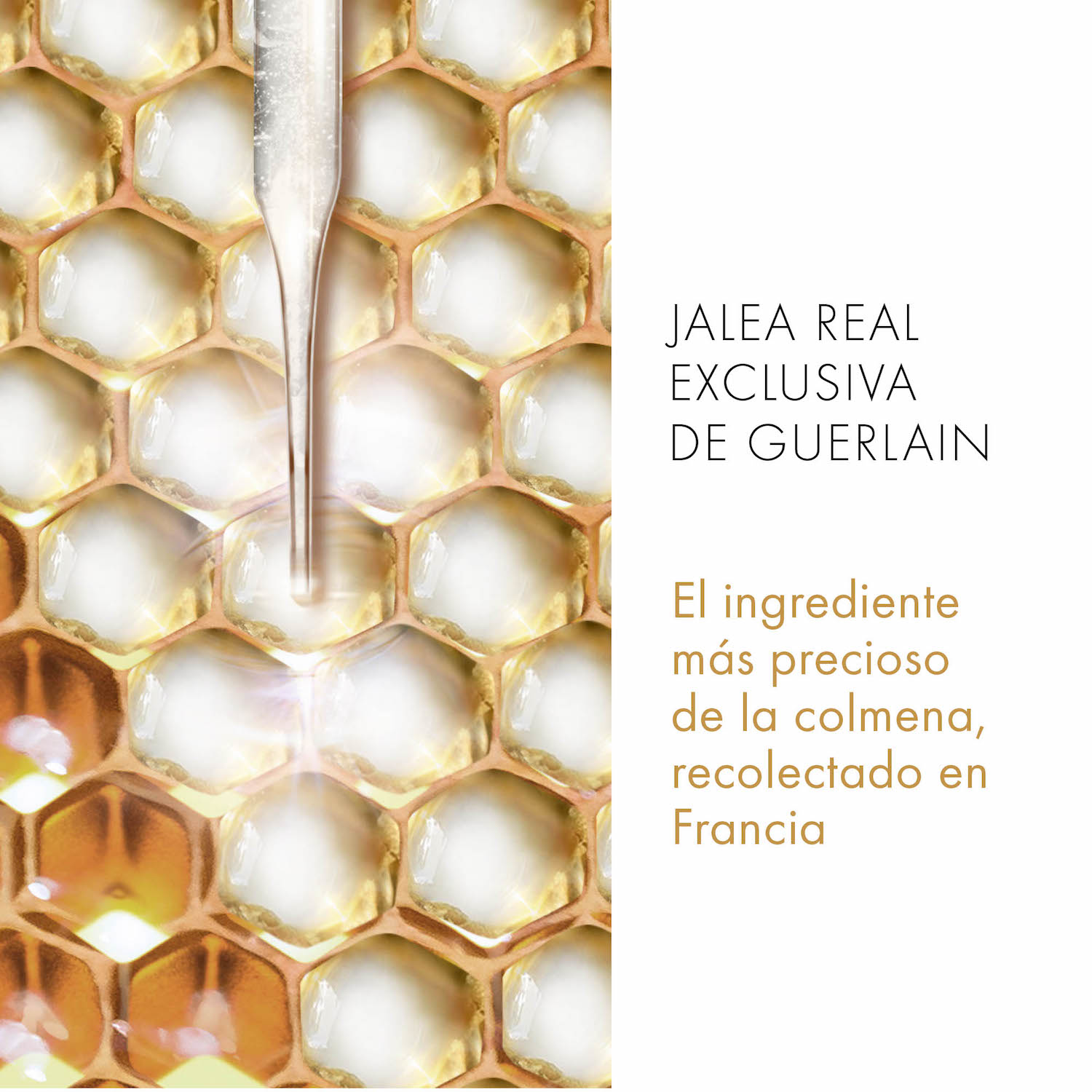 ABEILLE ROYALE LOCIÓN FORTIFICANTE CON JALEA REAL 300ML