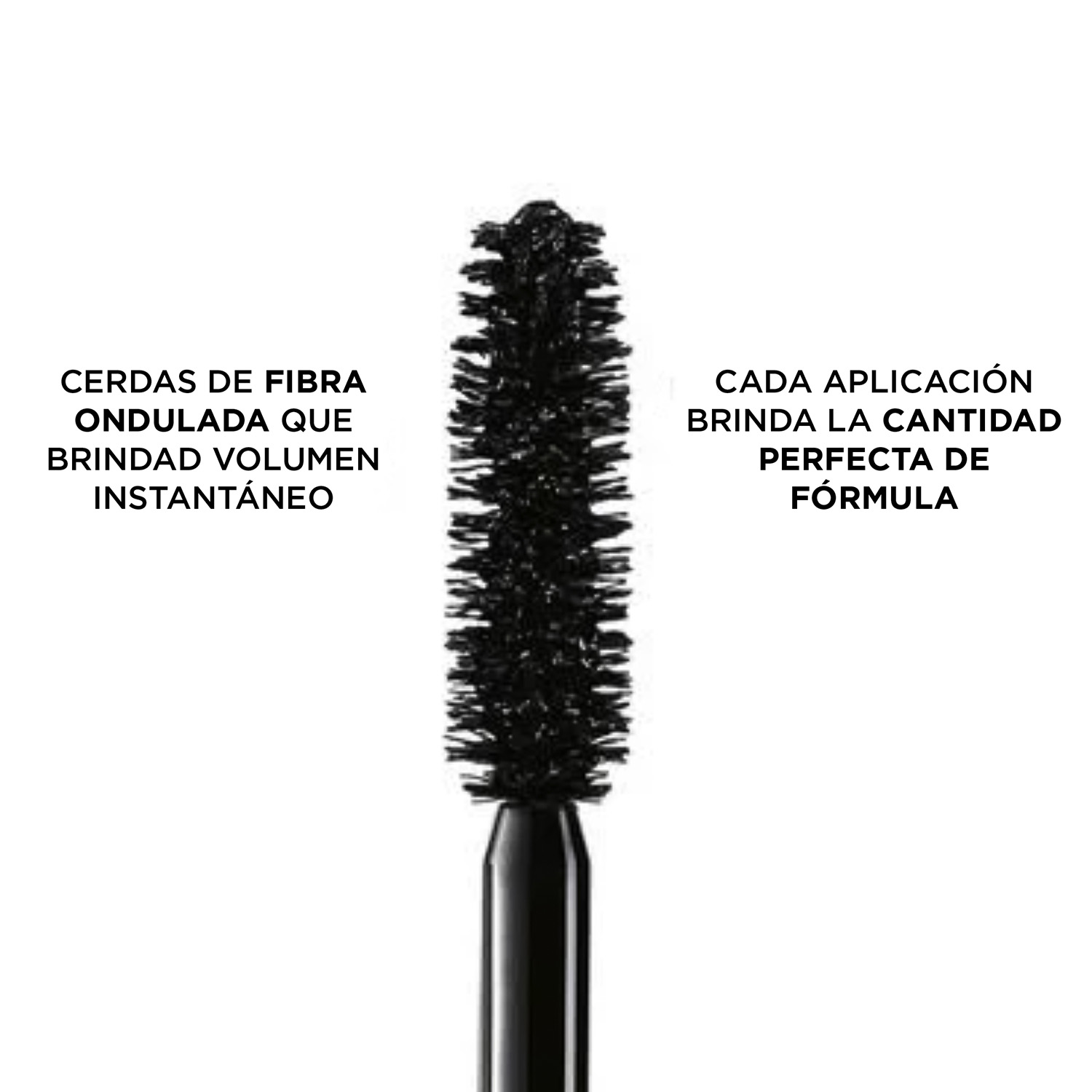 MONSIEUR BIG WATERPROOF (SET DE REGALO PARA OJOS)