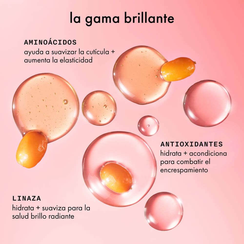 FLASH INSTANT SHINE HAIR GLOSS MASK (MASCARILLA PARA CABELLO)
