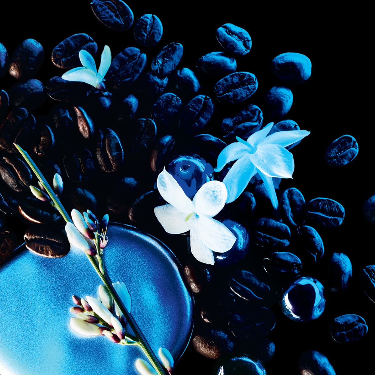 BLACK OPIUM EAU DE PARFUM INTENSE 90 ML