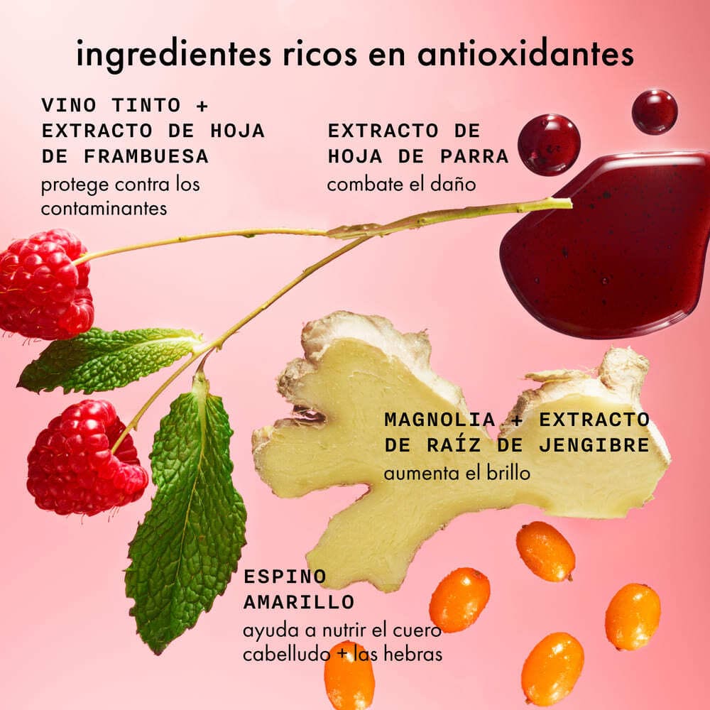 MIRRORBALL HIGH SHINE + PROTECT ANTIOXIDANT SHAMPOO (SHAMPOO PARA CABELLO)