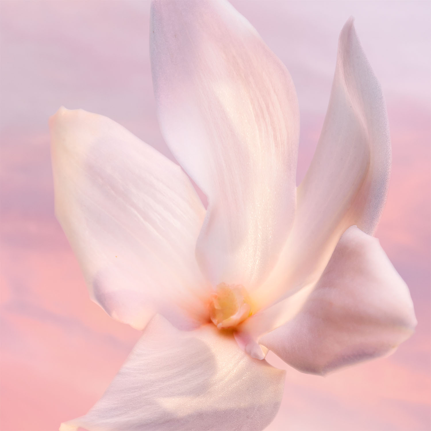 LANC&Ocirc;ME LA VIE EST BELLE VANILLE NUDE EAU DE PARFUM