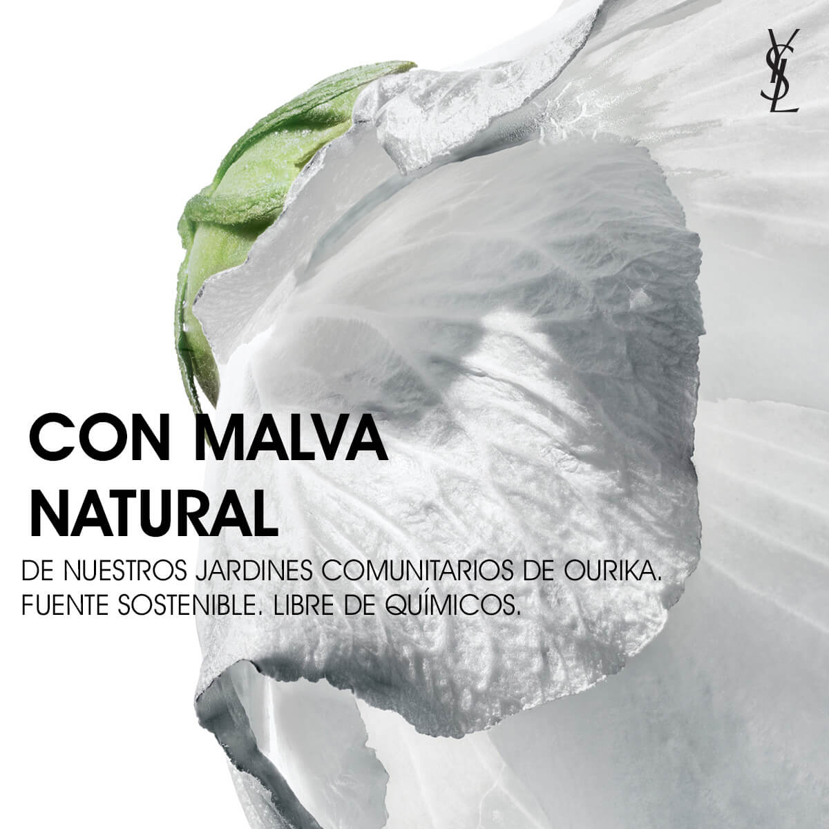 NU BARE LOOK TINT (BASE DE MAQUILLAJE HIDRATANTE)