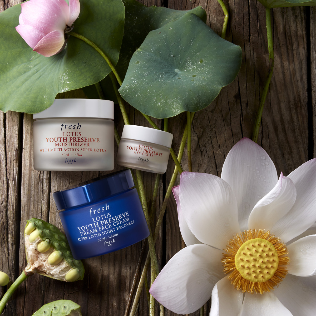 LOTUS YOUTH PRESERVE CREAM ANTIOX  (CREMA HIDRATANTE)