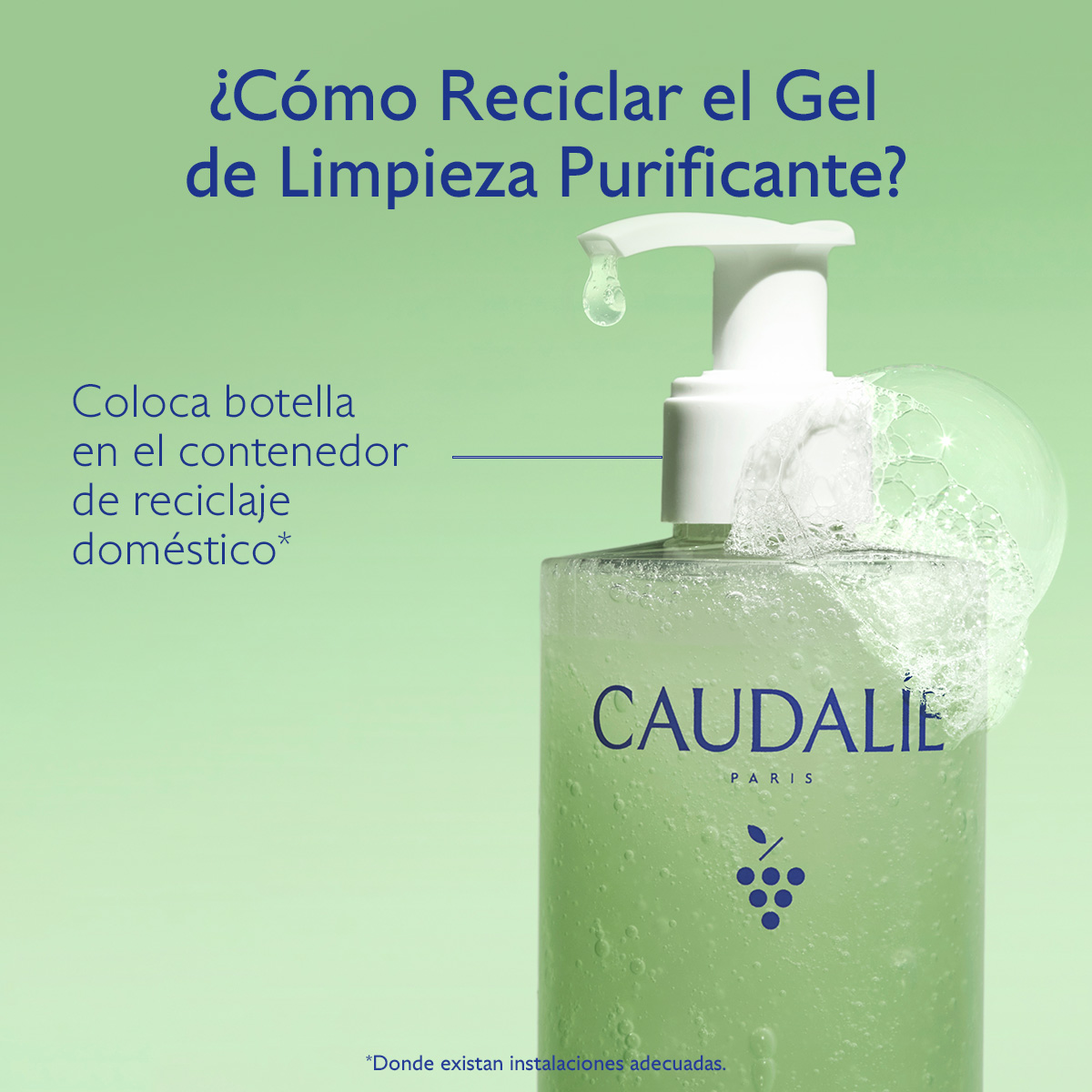 VINOPURE GEL DE LIMPIEZA PURIFICANTE (GEL DE LIMPIEZA PURIFICANTE)