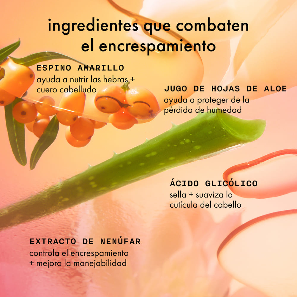 SMOOTH OVER FRIZZ-FIGHTING HAIR TREATMENT MASK (TRATAMIENTO PARA CABELLO)
