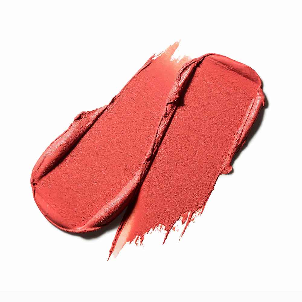 RETRO MATTE LIPSTICK (LABIAL MATE)