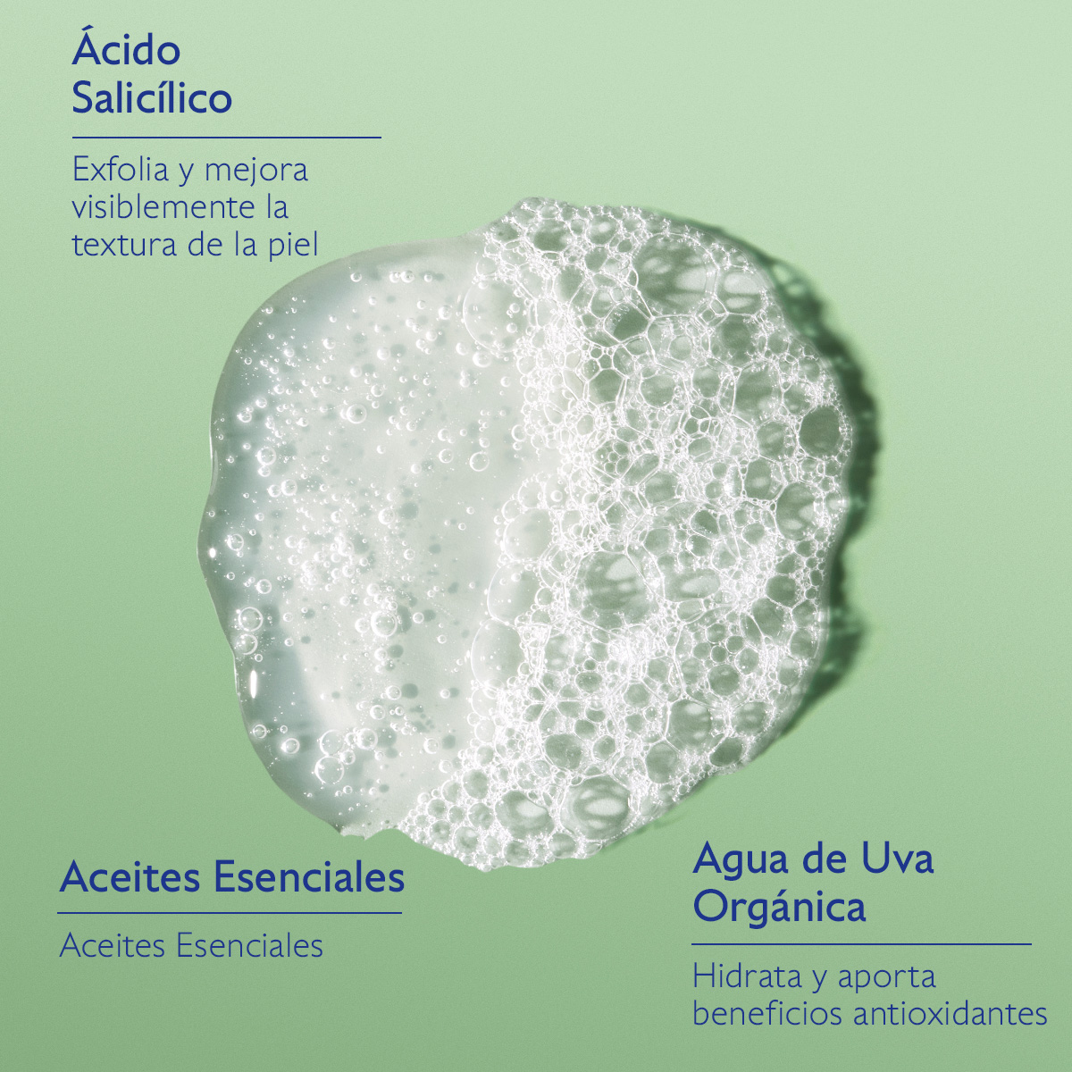 VINOPURE GEL DE LIMPIEZA PURIFICANTE (GEL DE LIMPIEZA PURIFICANTE)